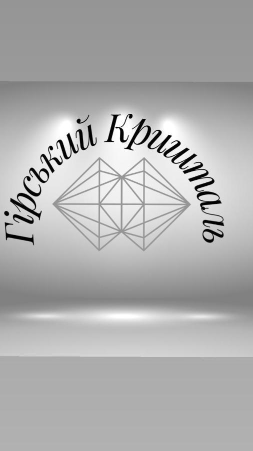 Apartament Гірський Кришталь Skole Zewnętrze zdjęcie
